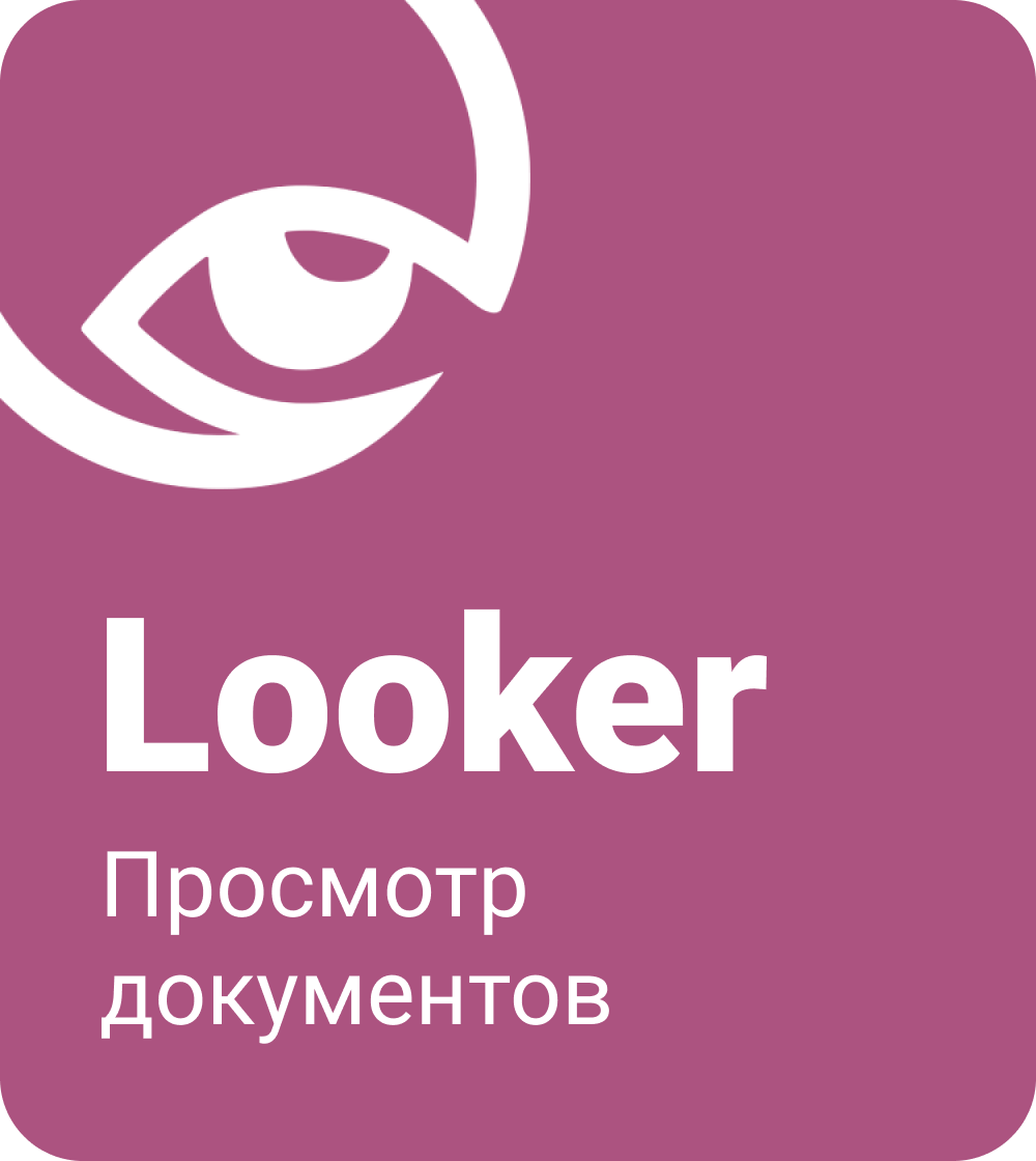 Looker - просмотр документов